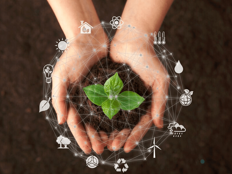 Environmental Sustainability