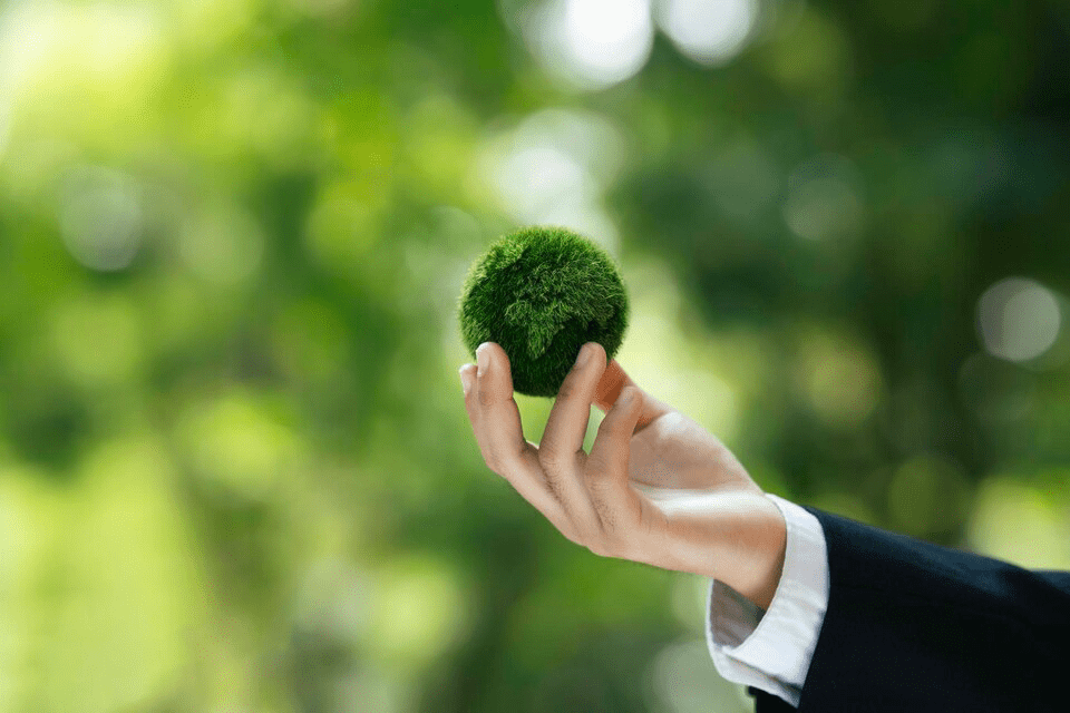 Sustainability Focus