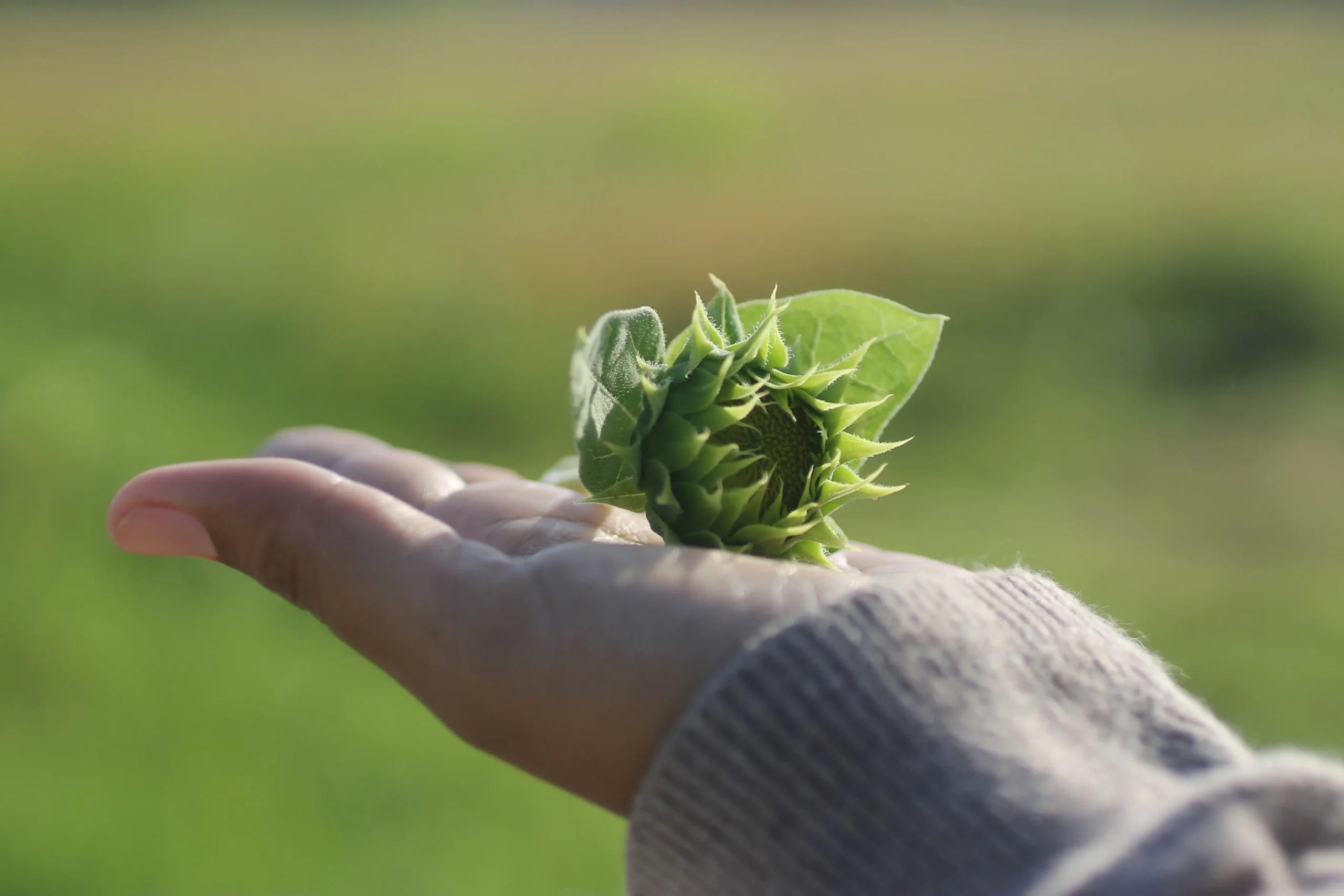 Environmental & Agricultural