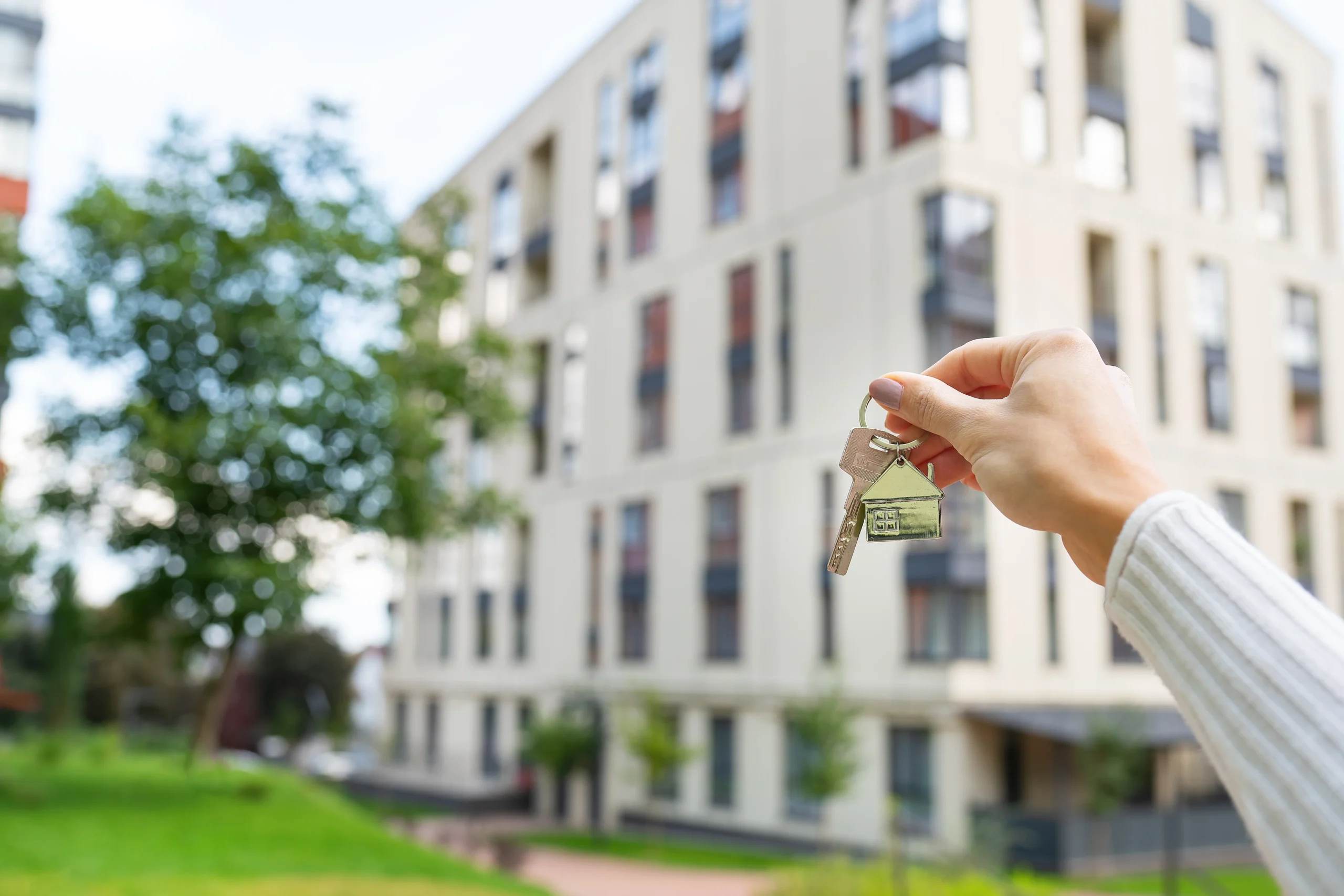 Real Estate Developers