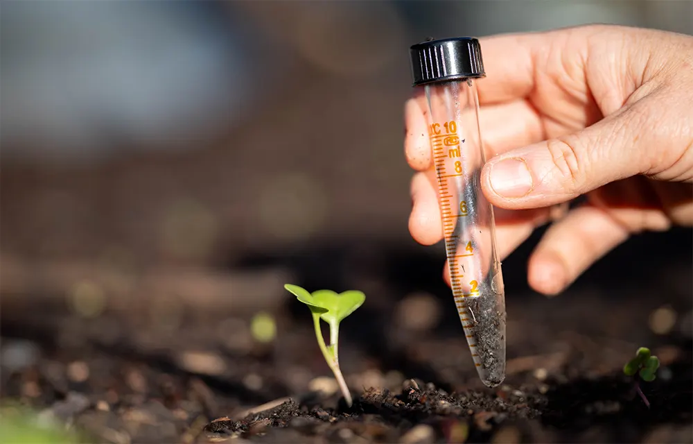 soil tests