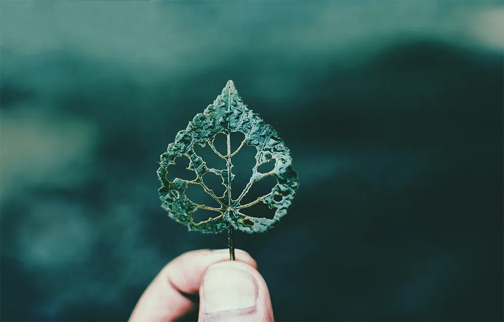 Reducing Environmental Impact